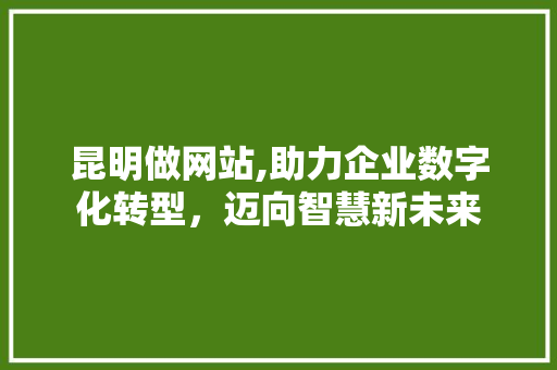昆明做网站,助力企业数字化转型，迈向智慧新未来