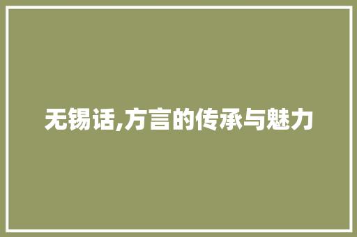 无锡话,方言的传承与魅力 SEO关键词