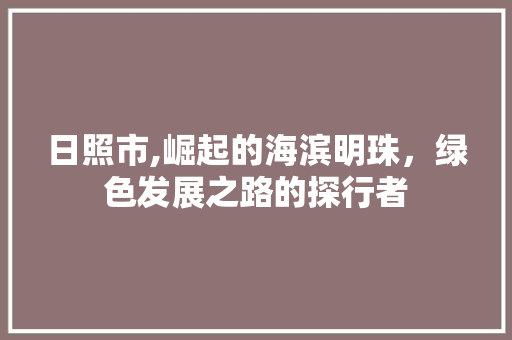 日照市,崛起的海滨明珠，绿色发展之路的探行者