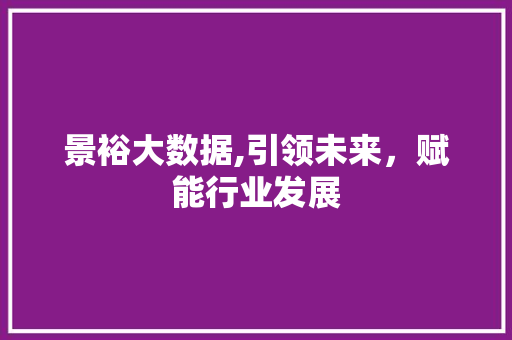 景裕大数据,引领未来，赋能行业发展