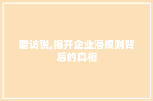 暗访锐,揭开企业潜规则背后的真相 SEO关键词
