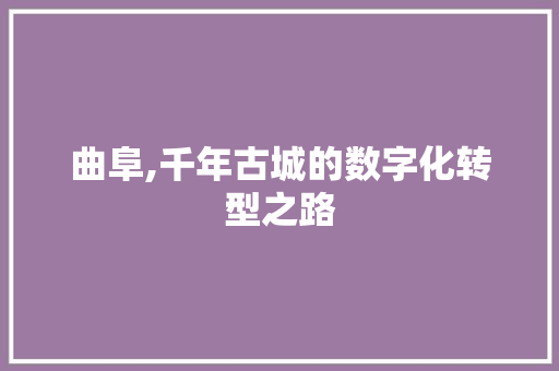 曲阜,千年古城的数字化转型之路 网站建设公司