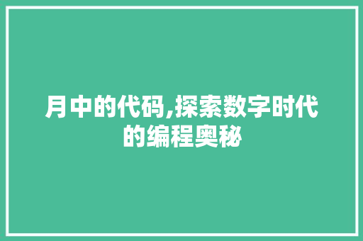 月中的代码,探索数字时代的编程奥秘