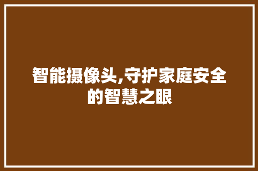 智能摄像头,守护家庭安全的智慧之眼
