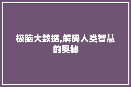 极脑大数据,解码人类智慧的奥秘