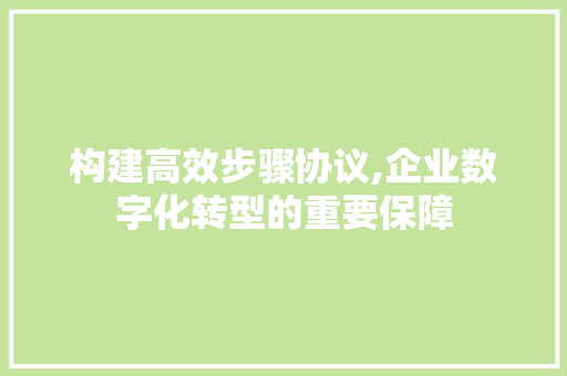 构建高效步骤协议,企业数字化转型的重要保障