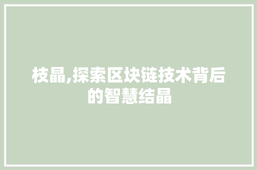 枝晶,探索区块链技术背后的智慧结晶