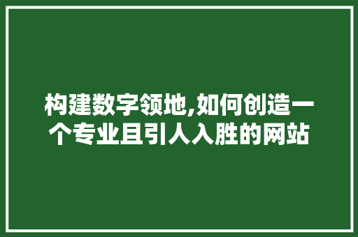 构建数字领地,如何创造一个专业且引人入胜的网站 网站建设公司