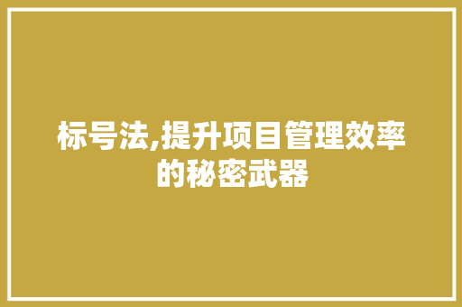 标号法,提升项目管理效率的秘密武器