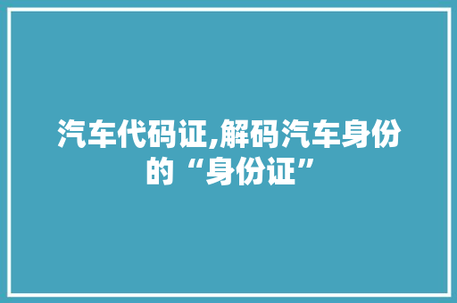 汽车代码证,解码汽车身份的“身份证”