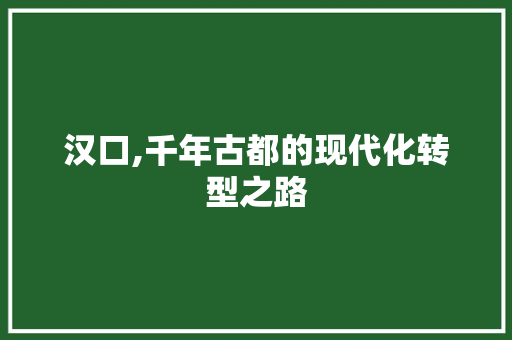汉口,千年古都的现代化转型之路