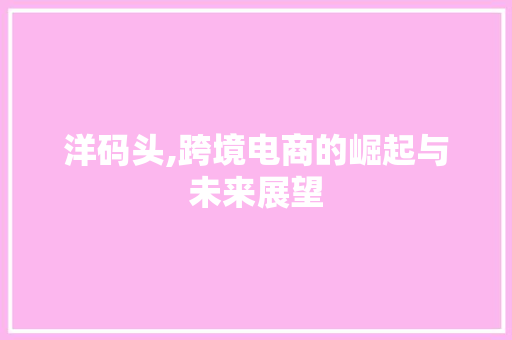洋码头,跨境电商的崛起与未来展望