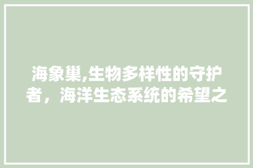 海象巢,生物多样性的守护者，海洋生态系统的希望之光 网站建设公司