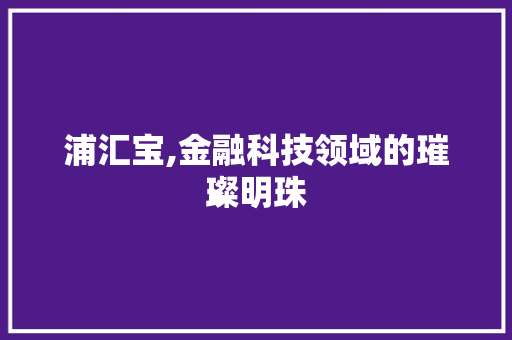 浦汇宝,金融科技领域的璀璨明珠