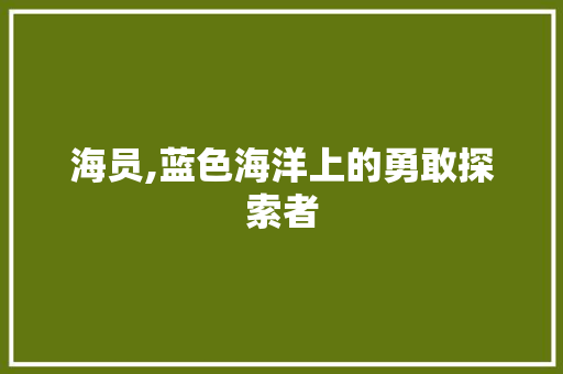 海员,蓝色海洋上的勇敢探索者 百度SEO