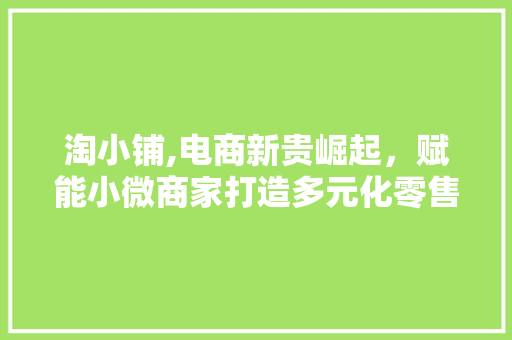 淘小铺,电商新贵崛起，赋能小微商家打造多元化零售生态