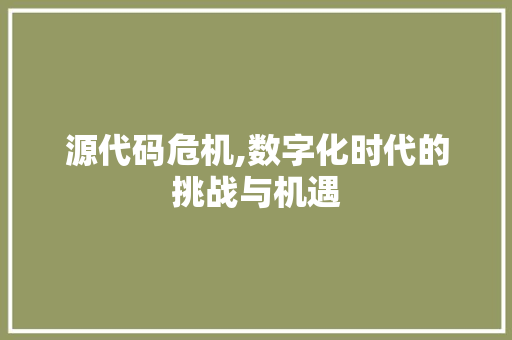 源代码危机,数字化时代的挑战与机遇 网站建设公司
