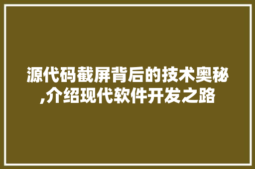 源代码截屏背后的技术奥秘,介绍现代软件开发之路