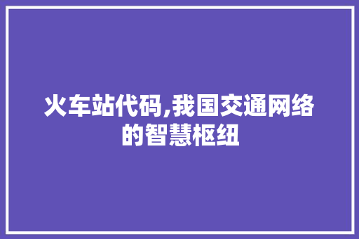 火车站代码,我国交通网络的智慧枢纽