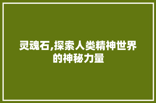 灵魂石,探索人类精神世界的神秘力量