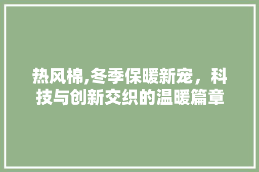 热风棉,冬季保暖新宠，科技与创新交织的温暖篇章