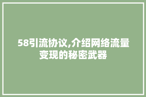 58引流协议,介绍网络流量变现的秘密武器 搜狗SEO