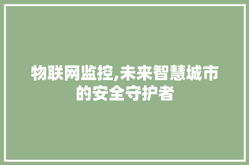 物联网监控,未来智慧城市的安全守护者