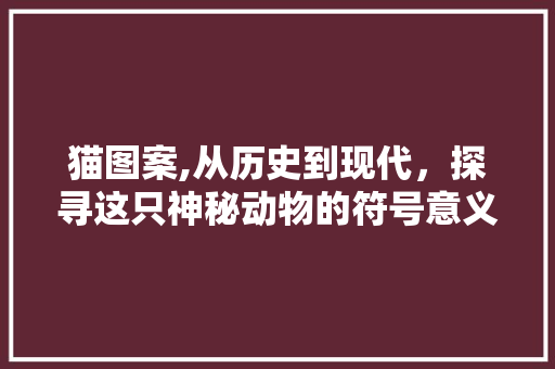 猫图案,从历史到现代，探寻这只神秘动物的符号意义