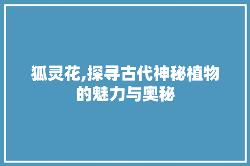狐灵花,探寻古代神秘植物的魅力与奥秘