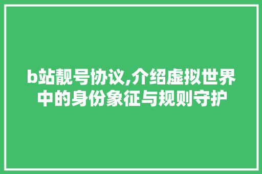 b站靓号协议,介绍虚拟世界中的身份象征与规则守护