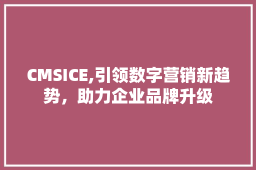 CMSICE,引领数字营销新趋势，助力企业品牌升级