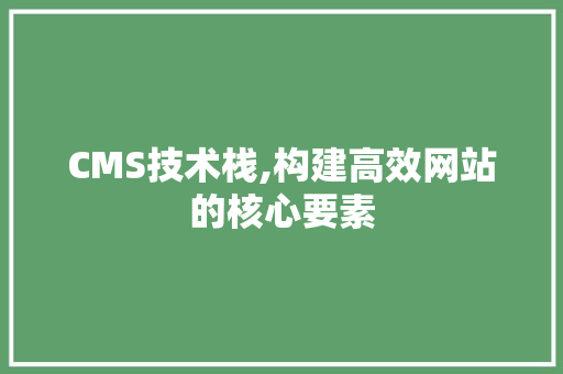 CMS技术栈,构建高效网站的核心要素 必应SEO