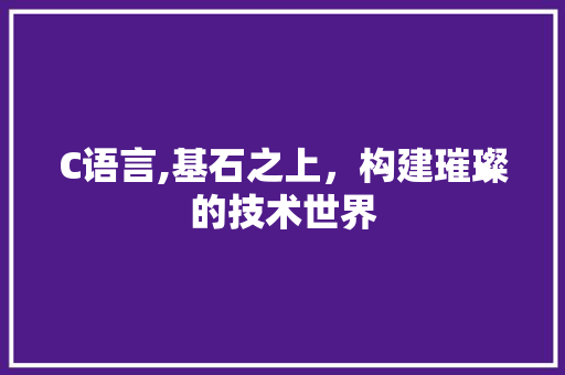 C语言,基石之上，构建璀璨的技术世界