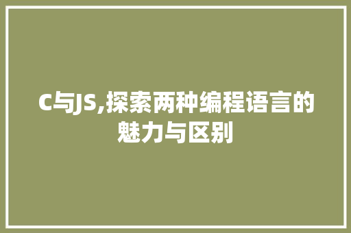 C与JS,探索两种编程语言的魅力与区别 SEO关键词