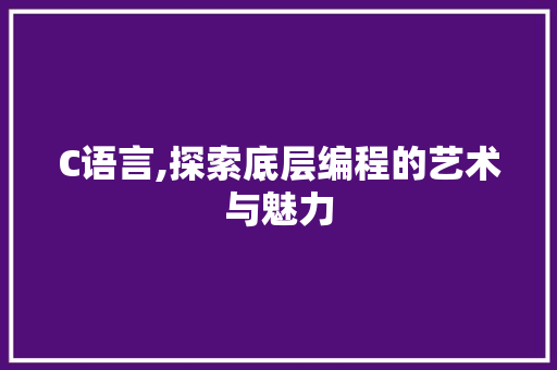 C语言,探索底层编程的艺术与魅力