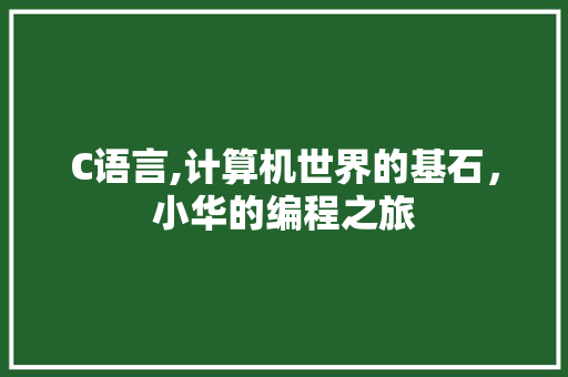 C语言,计算机世界的基石，小华的编程之旅 神马SEO