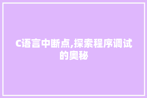 C语言中断点,探索程序调试的奥秘