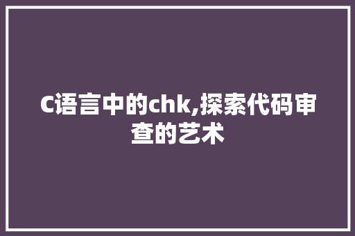 C语言中的chk,探索代码审查的艺术