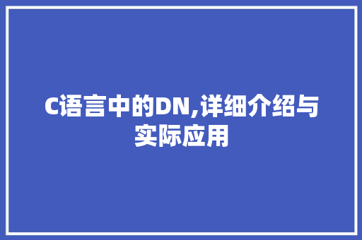 C语言中的DN,详细介绍与实际应用