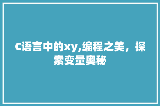 C语言中的xy,编程之美，探索变量奥秘