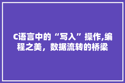 C语言中的“写入”操作,编程之美，数据流转的桥梁
