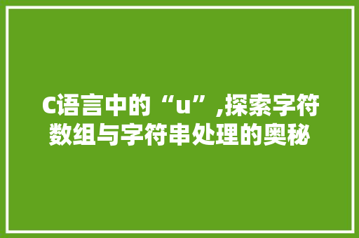 C语言中的“u”,探索字符数组与字符串处理的奥秘