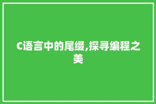 C语言中的尾缀,探寻编程之美