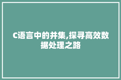 C语言中的并集,探寻高效数据处理之路