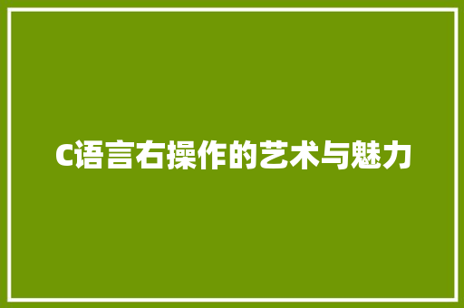 C语言右操作的艺术与魅力 网站建设公司