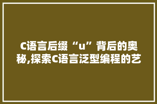 C语言后缀“u”背后的奥秘,探索C语言泛型编程的艺术 网站建设公司