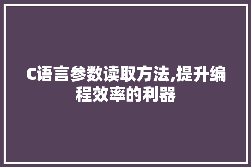 C语言参数读取方法,提升编程效率的利器