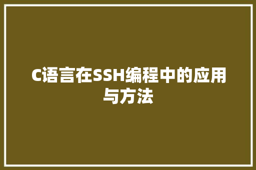 C语言在SSH编程中的应用与方法 神马SEO