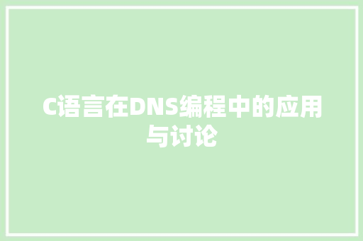 C语言在DNS编程中的应用与讨论 神马SEO