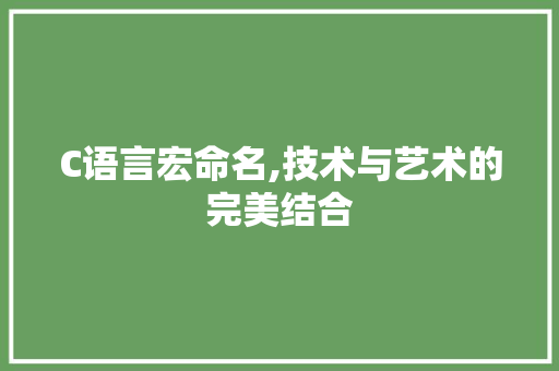 C语言宏命名,技术与艺术的完美结合